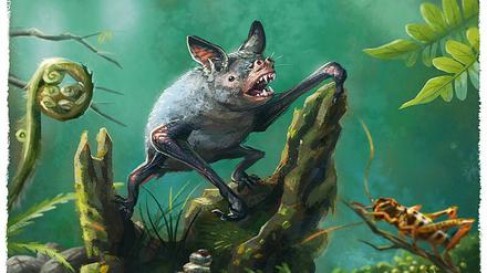 Große Neuseelandfledermaus, wahrscheinlich ausgestorben um 1960.
