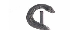 Den Stab gebrochen: Schlange und Stecken des Aeskulap sind das Symbol der Heilkunst. Doch die ist, sagt unser Gastautor, ziemlich beschädigt derzeit.