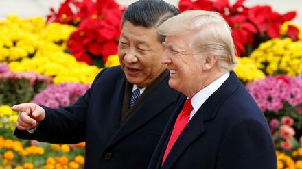 US-Präsident Trump (rechts) würde eine Einigung bei der anstehenden Präsidentschaftswahl helfen. Xi Jinping will das Ansehen seines Landes auf der Weltbühne nicht verlieren.