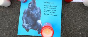 Trauer und Ratlosigkeit: Kerzen und Briefe vor dem Eingang des Zoos in Krefeld - das Großfeuer hat deutschlandweit Bestürzung ausgelöst  