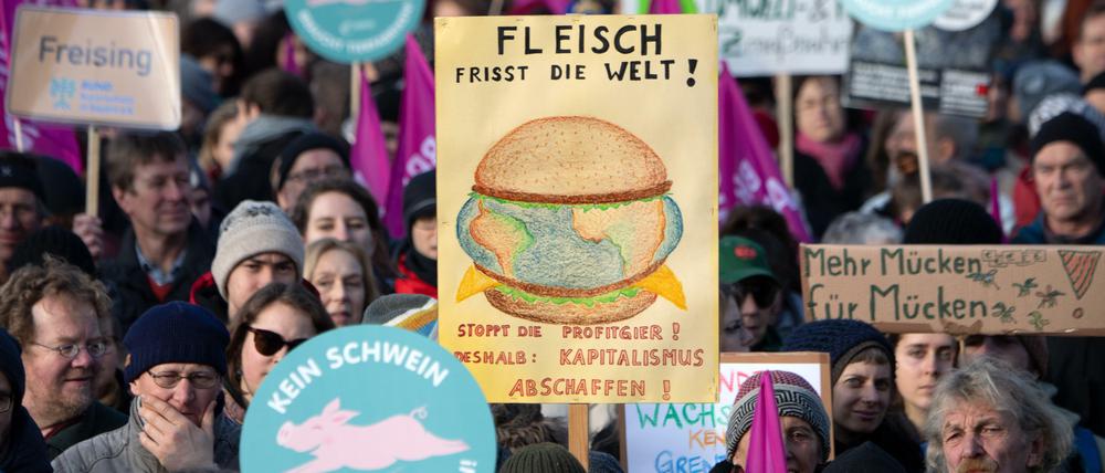 Rund 15.000 Teilnehmer erwarten die Veranstalter zur Demo „Wir haben es satt“. Alljährlich zur Grünen Woche setzt sich ein breites Bündnis für eine ökologische Wende in der Agrarpolitik ein.