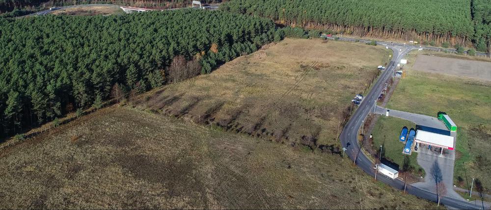Giga-Factory in Grünheide: Derzeit sieht es für Tesla gut aus.