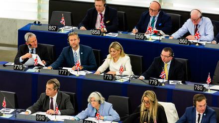 Britische Abgeordnete um Brexit-Schlüsselfigur Nigel Farage (vordere Reihe links, Platz 690).