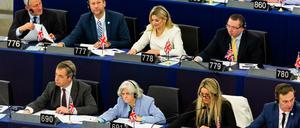 Britische Abgeordnete um Brexit-Schlüsselfigur Nigel Farage (vordere Reihe links, Platz 690).