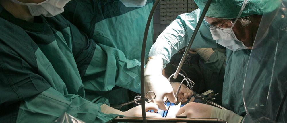 In der Klinik für Urologie am Universitätsklinikum Jena wird bei einer Operation einem Spender eine Niere entnommen, die für eine Transplantation vorgesehen ist.