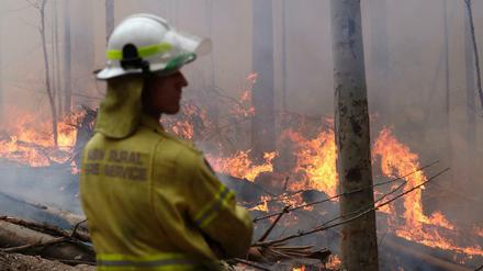 Tausende Feuerwehrleute kämpfen in Australien gegen die Flammen.