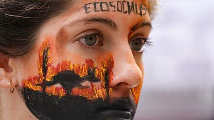  Argentinien, Buenos Aires: Eine Demonstrantin mit einem Bild im Gesicht, das ein Känguru zeigt, das vor dem Feuer wegläuft.