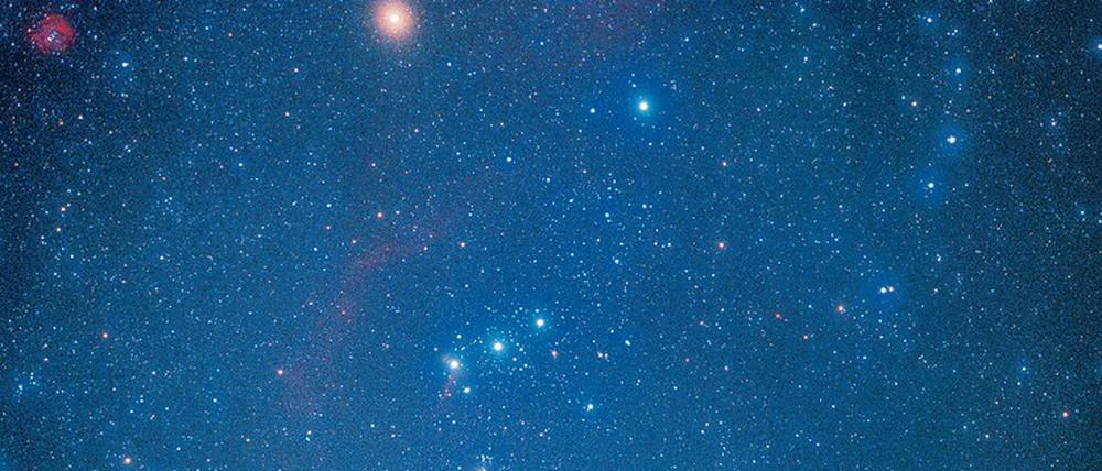 Sternenlicht. So hell wie in diesem Bild strahlt Orions Beteigeuze (orangen-gelblich, oben) derzeit nicht. Vielleicht wird er dies bald – in kosmischen Zeitmaßstäben, also vielleicht nächste Woche, vielleicht in 1000 Jahren – umso mehr tun. Und dann fast ganz verschwinden.