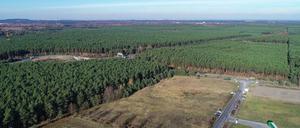 Die Pläne des E-Autoherstellers sorgen für Protest in Grünheide. 