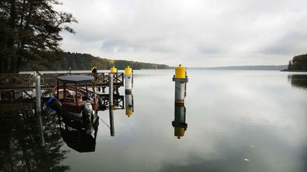 Der Ort des Unglücks, der Werbellinsee in der Schorfheide. 