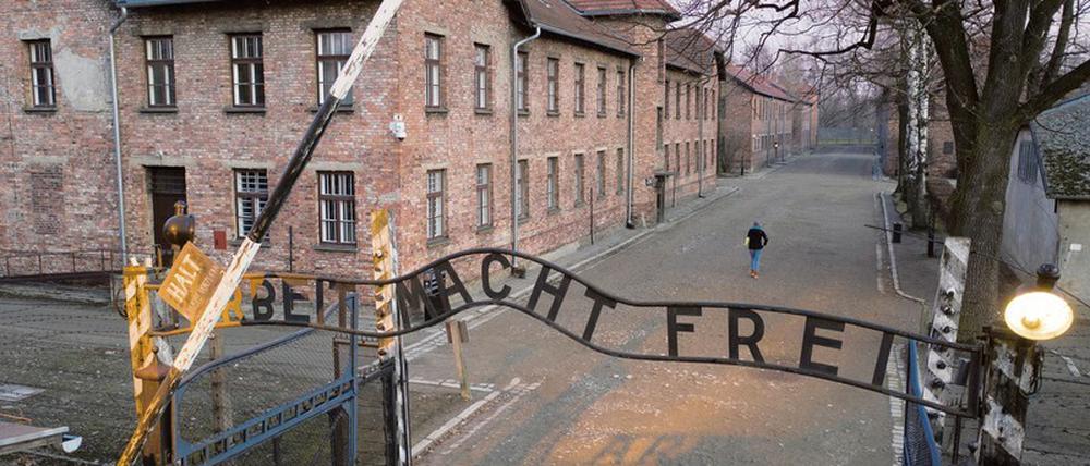 Wie soll die industrielle Ermordung von Juden in Auschwitz gestoppt werden? Vor dieser Frage standen die Alliierten 1944, nachdem sie durch zwei geflüchtete Lagerinsassen über die Vorgänge im Konzentrationslager erfuhren.