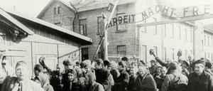 Häftlinge verlassen das Konzentrationslager Auschwitz nach der Befreiung durch die Rote Armee.