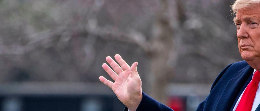 Will Schwangeren die Einreise erschweren: US-Präsident Trump