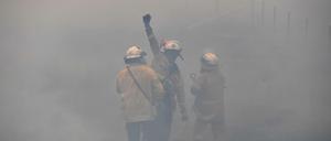 Feuerwehrmänner versuchen ein Buschfeuer zu löschen. 
