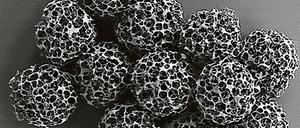 Magnetisch und abbaubar: die "Mikroroboter".