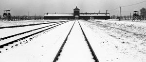 Die Tür des Todes in Birkenau. Auschwitz war das größte Konzentrationslager der Nationalsozialisten, ein riesiger Lagerkomplex mit drei Hauptlagern und mehreren Nebengebäuden. Innerhalb des zweiten Hauptlagers wurde ein Vernichtungslager eingerichtet.