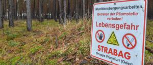 Auf dem künftigen Fabrikgelände wurden sieben Bomben gesprengt. 