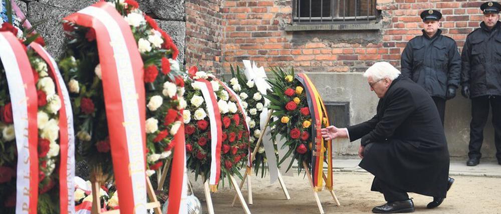 Als Frank-Walter Steinmeier die Schleife am Kranz richtet, kommt er einem Kniefall sehr nahe. 
