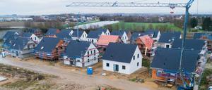 Für Immobilienkäufer und -bauer kommen die niedrigen Zinsen gerade recht.