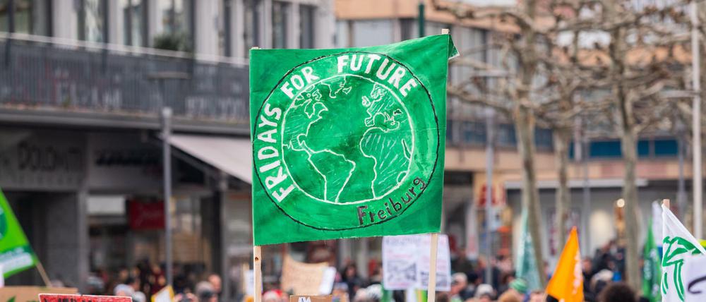 Teilnehmer einer „Fridays For Future“-Demonstration in Mainz