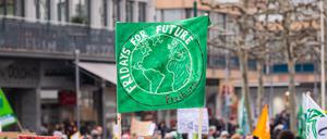 Teilnehmer einer „Fridays For Future“-Demonstration in Mainz