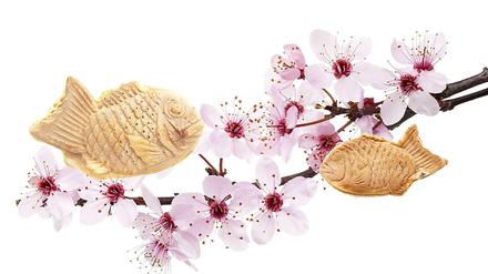 Süß wie die ersten Frühlingslüftchen: Taiyaki, gefülltes japanisches Gebäck in Fischform, gibt es jetzt auch in Berlin.