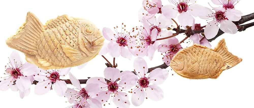 Süß wie die ersten Frühlingslüftchen: Taiyaki, gefülltes japanisches Gebäck in Fischform, gibt es jetzt auch in Berlin.