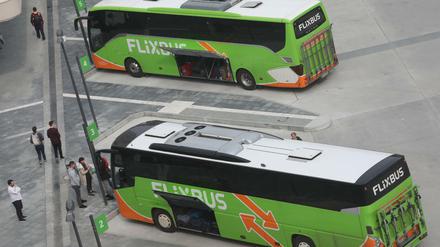 Bald nur noch in den den großen Städten unterwegs? Der neu eröffnete Fernbus-Bahnhof am Hauptbahnhof.