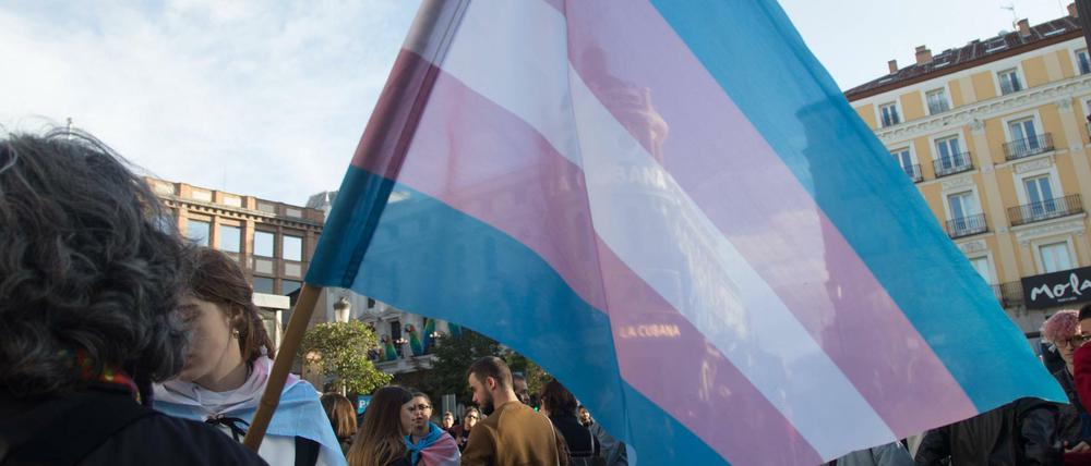 Die Transgender-Fahne. In Deutschland wird seit langem die Abschaffung des Transsexuellengesetzes gefordert.