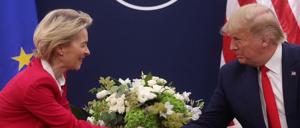 EU-Kommissionschefin von der Leyen und US-Präsident Trump beim Weltwirtschaftsforum in Davos im Januar.