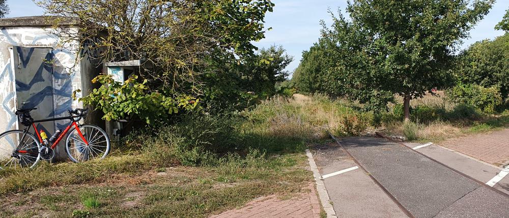 Nur im Asphalt der Bundesstraße 102 liegen noch die Gleise der "Städtebahn" noch. Ansonsten hat ein Schrotthändler sie abgebaut.