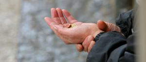 Wissenschaftler sind sich uneins, ob das Ausmaß der Ungleichheit in Deutschland hinreichend erforscht ist.