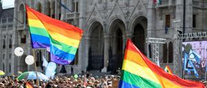 Längst nicht alle Lebensbereiche sind so divers wie dieses Pride-Festival in Budapest.