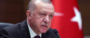 Die Regierung des türkischen Präsidenten Recep Tayyip Erdogan will ein umstrittenes Gesetz durchsetzen.