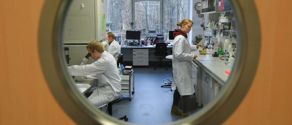 Das neuartige Coronavirus beschäftigt auch Wissenschaftler an der Philipps-Universität Marburg.