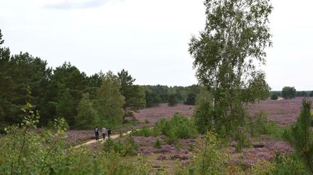 Die Weite der Heide ist einer der Hauptgründe, warum die Menschen hierher kommen. 