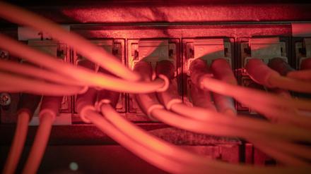 Der DRK Bundesverband fordert alle anderen Verbände auf, die Netzwerke zu prüfen.