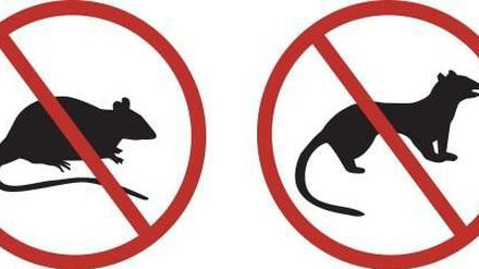 Klare Ansage auf der Miramar-Halbinsel: "No rats, stoats or weasels"