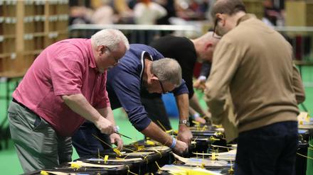 Wahlurnen werden in Dublin geöffnet.