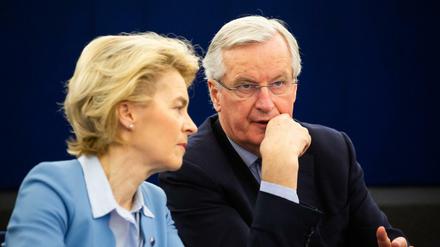EU-Kommissionschefin von der Leyen und Chefverhandler Barnier am Dienstag in Straßburg.