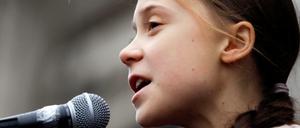 Die BBC will Greta Thunberg bei ihren Treffen mit Politikern, Wissenschaftlern und Geschäftsleuten begleiten. 