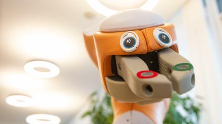 Es muss nicht gleich der Pflegeroboter des Schweizer Herstellers F&amp;P Robotics AG "Lio" sein. Auch kleinere digitale Hilfsmittel können die Pflege erleichtern.