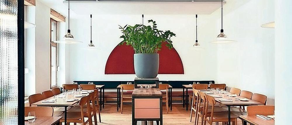 Kontinuität, gute Produkte und ein festes Menü: Lode und Stijn in Kreuzberg
