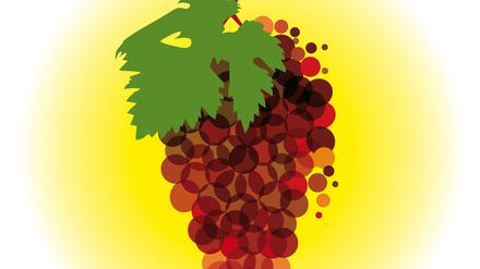 Der Klimawandel hat auch Auswirkungen auf den Weinbau, neue Rebsorten könnten Hitze und Schädlingen trotzen