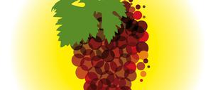 Der Klimawandel hat auch Auswirkungen auf den Weinbau, neue Rebsorten könnten Hitze und Schädlingen trotzen