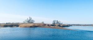 Im südlichen Oderbruch.