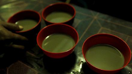 Vier Tassen mit Kava in einer Kava-Bar. 