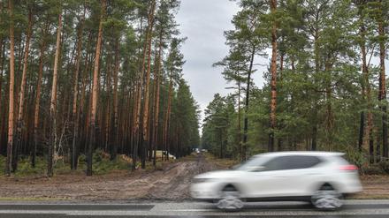 Ein Waldweg in Grünheide führt von einer Landstraße auf das künftige Gelände der Tesla-Gigafactory. 