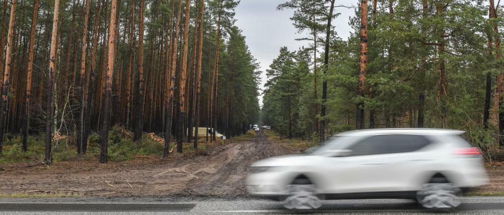 Ein Waldweg in Grünheide führt von einer Landstraße auf das künftige Gelände der Tesla-Gigafactory.