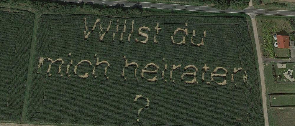 Moderne Technik für eine romantische Geste: Ein Freund programmierte die Sämaschine für den Antrag auf dem Feld.